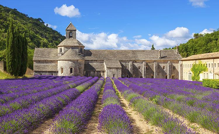 Le Mogador Chateau Du Martinet Violès Exterior foto